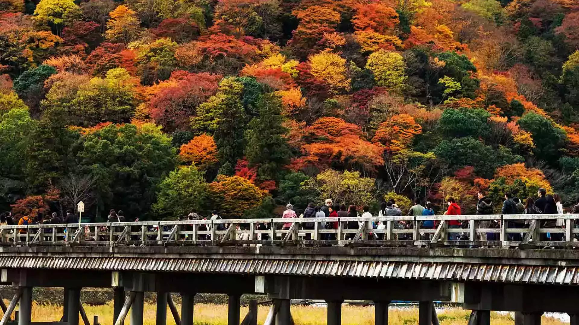 Arashiyama Momiji festivali