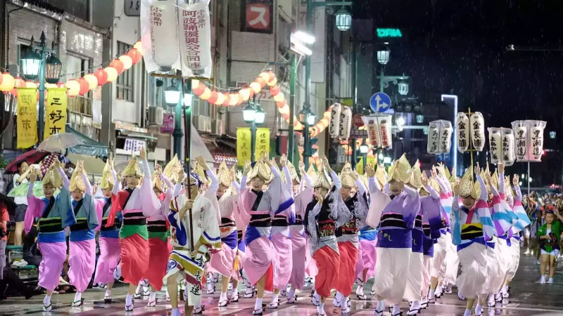 Awa Odori halk dansı festivali