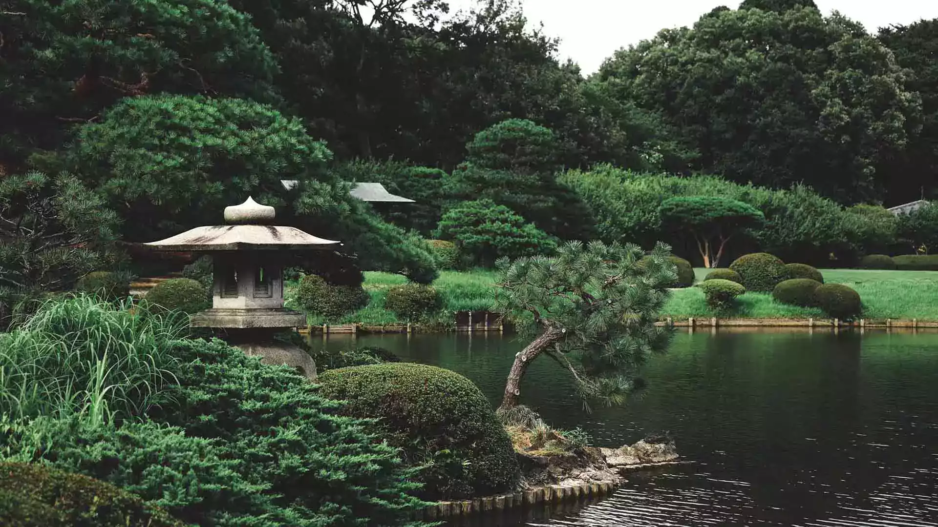 Japon bahçeleri