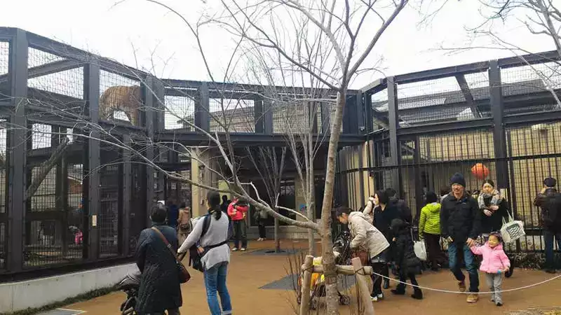 Kyoto hayvanat bahçesi insanlar