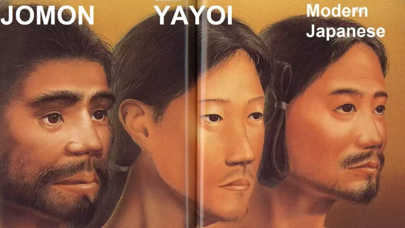 jomon yayoi japanese