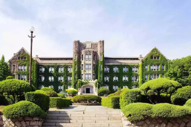 Koredeki en iyi üniversiteler