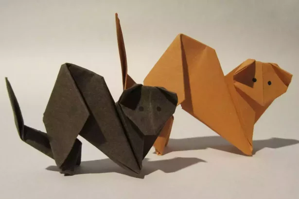 Origami ile kedi yapımı