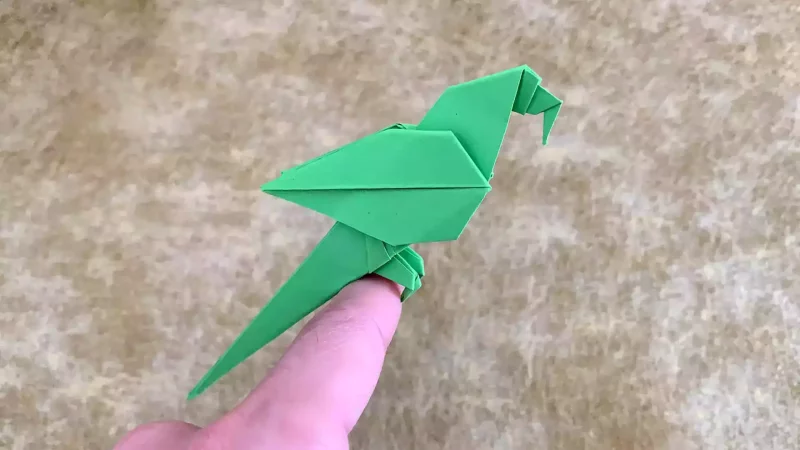 Origami ile papağan yapımı