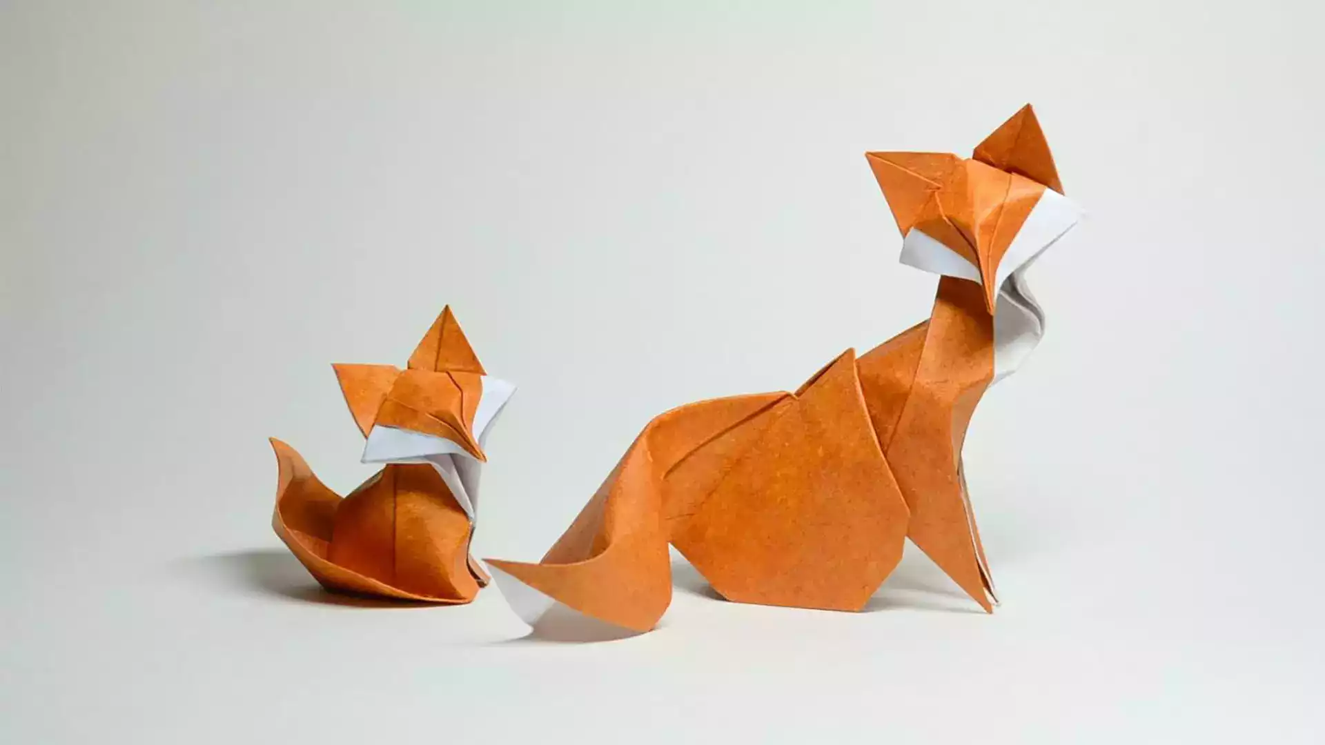 Origami ıslak katlama tekniği