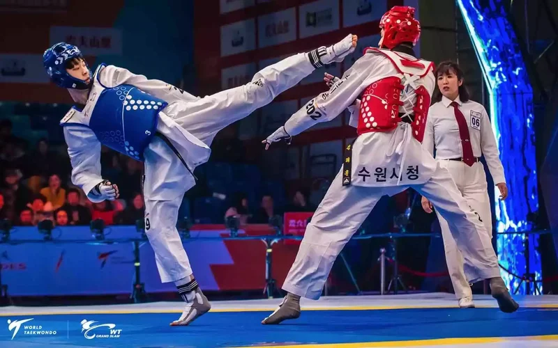 taekwondo 태권도 2