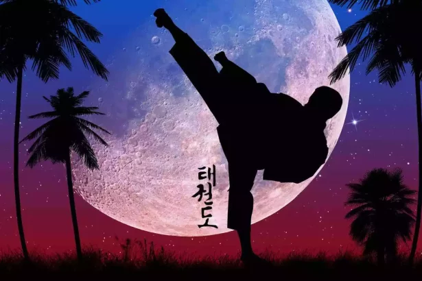 taekwondo 태권도 3